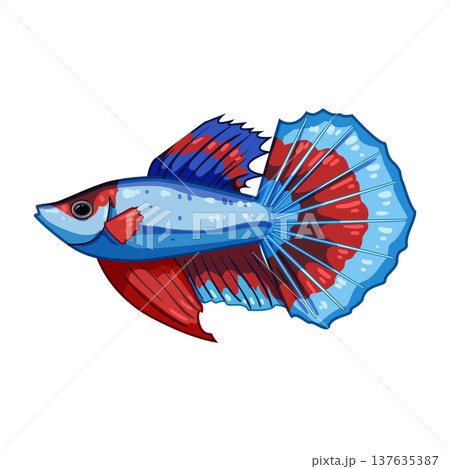 cichlid decorative fish cartoon vector illustration 137635387
