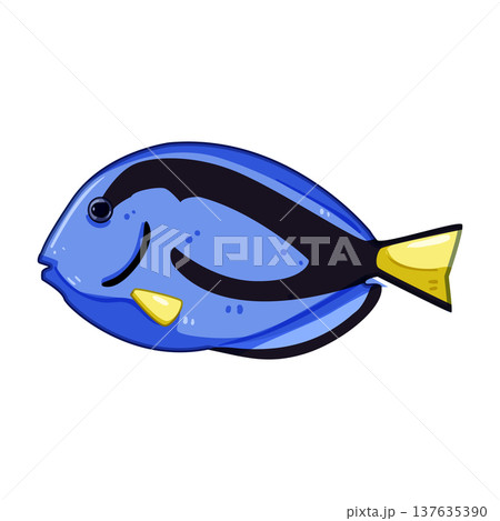 betta decorative fish cartoon vector illustration betta decorative fish cartoon vector illustration 137635390