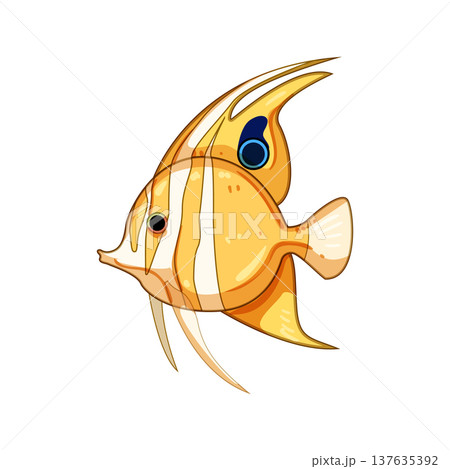tetra decorative fish cartoon vector illustration 137635392