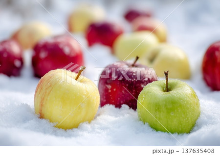 Beautiful red, yellow and green apples on white snow Beautiful red, yellow and green apples on white snow 137635408