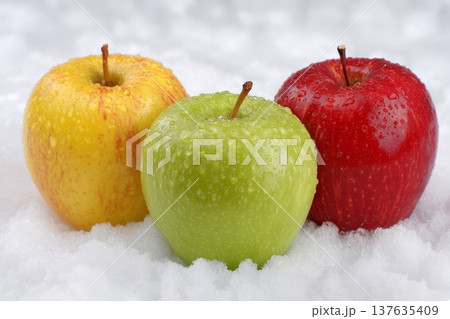 Beautiful red, yellow and green apples on white snow Beautiful red, yellow and green apples on white snow 137635409