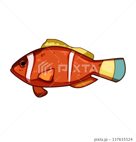 species clown fish cartoon vector illustration 137635524