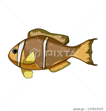 habitat clown fish cartoon vector illustration 137635525