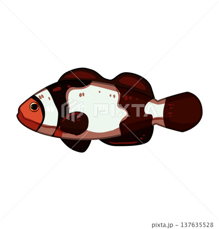 marine clown fish cartoon vector illustration 137635528