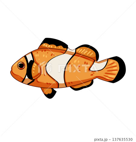 tropical clown fish cartoon vector illustration 137635530