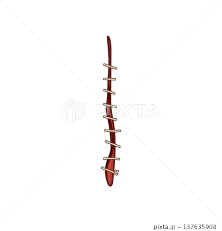 stitch suture cartoon vector illustration stitch suture cartoon vector illustration 137635908