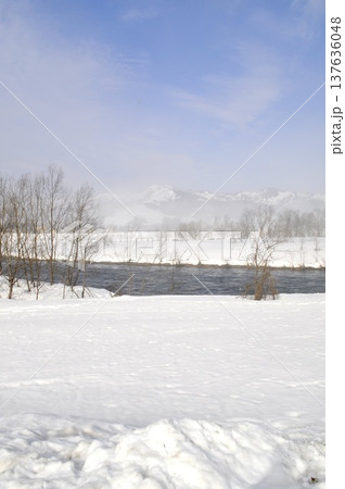 日本の雪国 日本の雪国 137636048
