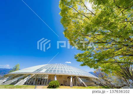 【初夏素材】新緑と青空【長野県】 137636102