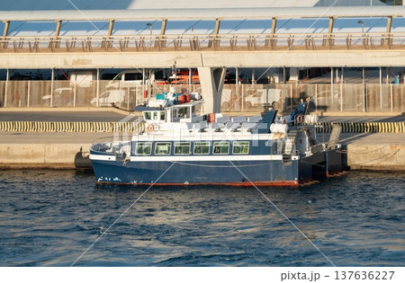 Small passenger ferry moored at port terminal Small passenger ferry moored at port terminal 137636227