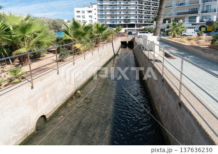 Urban water channel in Ibiza Spain with palms and apartments Urban water channel in Ibiza Spain with palms and apartments 137636230