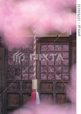 桜のある風景 137636232