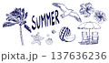 手書きの夏モチーフイラストセット 137636236