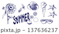 手書きの夏モチーフイラストセット 137636237