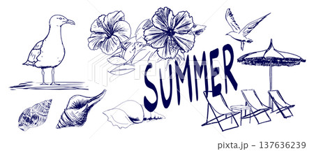 手書きの夏モチーフイラストセット 137636239