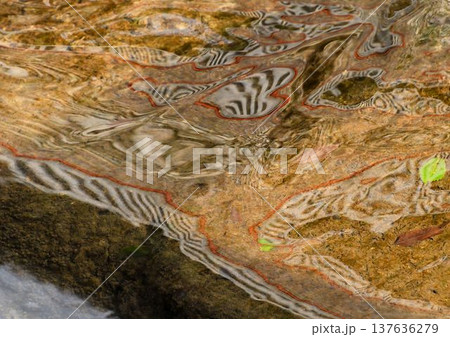 茶色を基調とした複雑な色の岩石の上を流れる水の波が複雑に交差してできた模様が美しい 茶色を基調とした複雑な色の岩石の上を流れる水の波が複雑に交差してできた模様が美しい 137636279