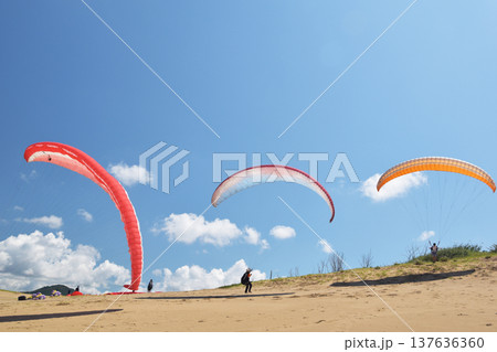鳥取砂丘でパラグライダーを楽しむ若者たち 137636360