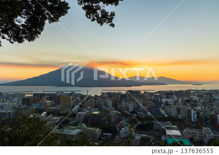 秋の鹿児島県鹿児島市　夜明けの城山公園から桜島を望む 137636555