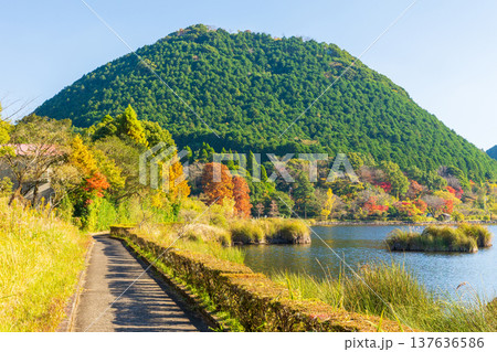 秋の鹿児島県薩摩川内市　紅葉の藺牟田池と藺牟田富士（飯盛山） 137636586