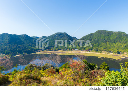 秋の鹿児島県薩摩川内市　紅葉の藺牟田池 137636645