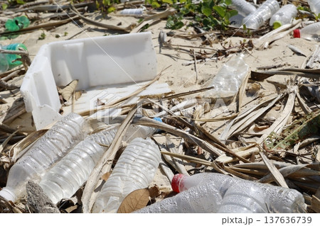 海岸に漂着したペットボトルごみ。海洋プラスチック問題。 海岸に漂着したペットボトルごみ。海洋プラスチック問題。 137636739