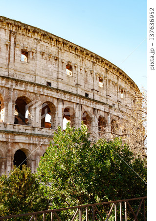 Exploring the Colosseum in Rome with clear skies and greenery 137636952