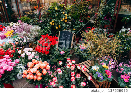 Flower shop displays colorful blooms and plants in busy city location during daytime hours Flower shop displays colorful blooms and plants in busy city location during daytime hours 137636956