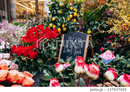 Roses and lemons at a busy flower shop in the afternoon sun 137637085