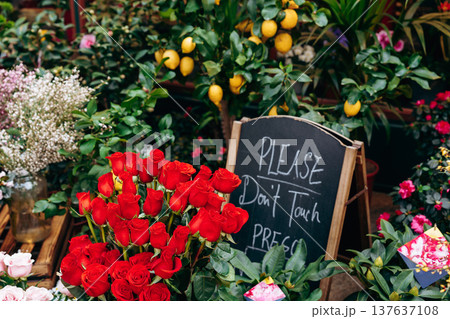 Flower market scene with red roses and signs asking not to touch the plants Flower market scene with red roses and signs asking not to touch the plants 137637108