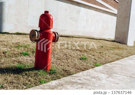 Fire hydrant stands next to grass on a sidewalk in a city during daylight hours 137637146
