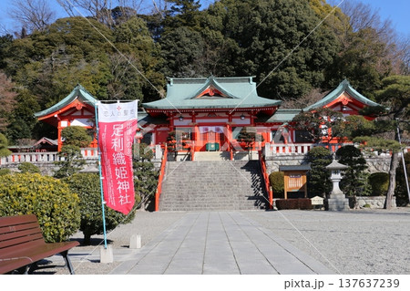 織物のまちを守護する足利織姫神社 織物のまちを守護する足利織姫神社 137637239