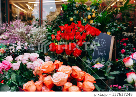 Flowers at a market with red roses, orange roses, and green plants in the afternoon Flowers at a market with red roses, orange roses, and green plants in the afternoon 137637249