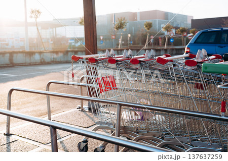 Shopping carts lined up at a store parking area in the late afternoon sunlight Shopping carts lined up at a store parking area in the late afternoon sunlight 137637259