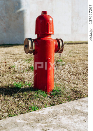 Fire hydrant stands on grass near concrete surface in urban area during daytime Fire hydrant stands on grass near concrete surface in urban area during daytime 137637267