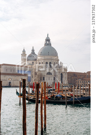Gondolas float near historic buildings in Venice during a clear day in the afternoon 137637302