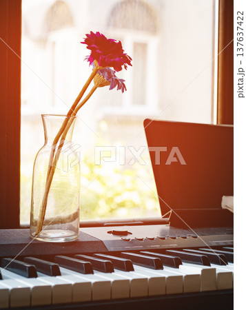 Flowers in a vase next to a keyboard in a bright room during the day Flowers in a vase next to a keyboard in a bright room during the day 137637422