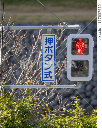 赤色が点灯したLED式歩行者用信号 137637450