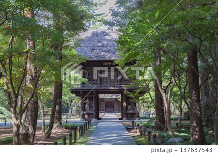 埼玉 平林寺 埼玉 平林寺 137637543