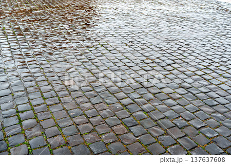 Water on cobblestones in a town square during a rainy day Water on cobblestones in a town square during a rainy day 137637608