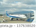 Osaka Itami airport, Japan（大阪伊丹空港、飛行機、曇り空） 137638020