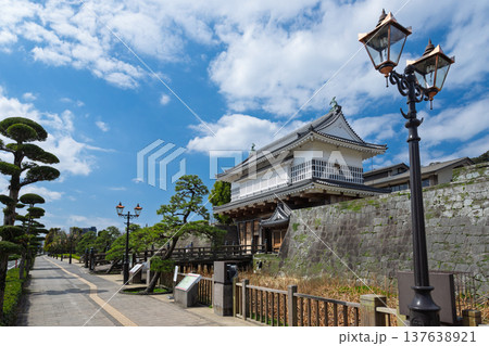 鶴丸城跡 御楼門と石橋(鹿児島市) 鶴丸城跡 御楼門と石橋(鹿児島市) 137638921