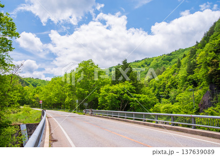 新緑シーズンの「せせらぎ街道」《岐阜県 高山市 清見町》 新緑シーズンの「せせらぎ街道」《岐阜県 高山市 清見町》 137639089