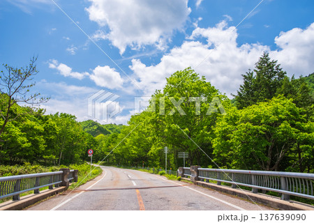 新緑シーズンの「せせらぎ街道」《岐阜県 高山市 清見町》 新緑シーズンの「せせらぎ街道」《岐阜県 高山市 清見町》 137639090