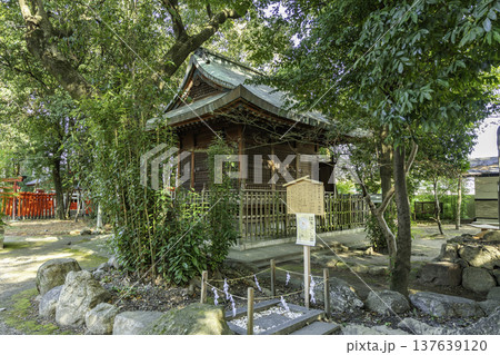 清須　日吉神社　はきだしまいり　愛知県清須市 137639120