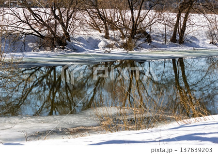 Melted river in early spring. Bare trees cast intricate reflections on the water's surface, hinting at nature's awakening. A serene, transitional landscape. Melted river in early spring. Bare trees cast intricate reflections on the water's surface, hinting at nature's awakening. A serene, transitional landscape. 137639203
