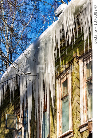 Huge shimmering icicles dangle from a weathered wooden house roof, glistening brightly in the sharp winter sun, highlighting frosty charm Huge shimmering icicles dangle from a weathered wooden house roof, glistening brightly in the sharp winter sun, highlighting frosty charm 137639247