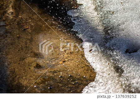 Gleaming drops of snowmelt splash onto a textured ground, marking the brisk arrival of spring. Frosty edges slowly recede 137639252
