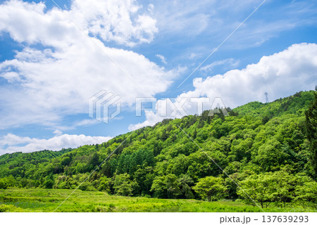 《車窓からの風景》新緑シーズンの「せせらぎ街道」 137639293