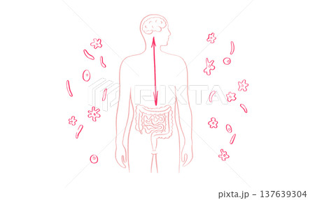 Gut Brain Connection 137639304