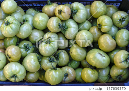 Fresh Green Tomatoes in Wooden Crates at Local Farmers Market. High quality photo Fresh Green Tomatoes in Wooden Crates at Local Farmers Market. High quality photo 137639370