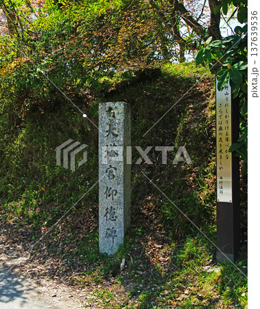 吉野山　桜　奈良県 137639536